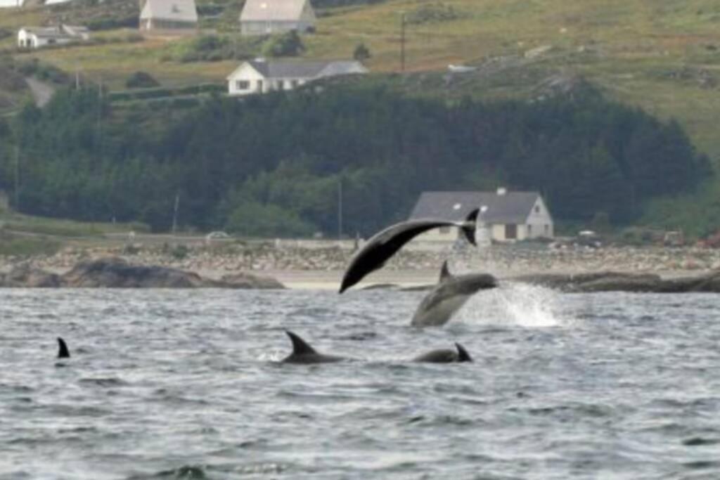 Atlantic View * Dungloe